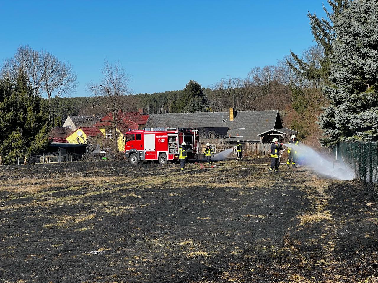 015 B:Wald-Groß/WSP in Jerischke