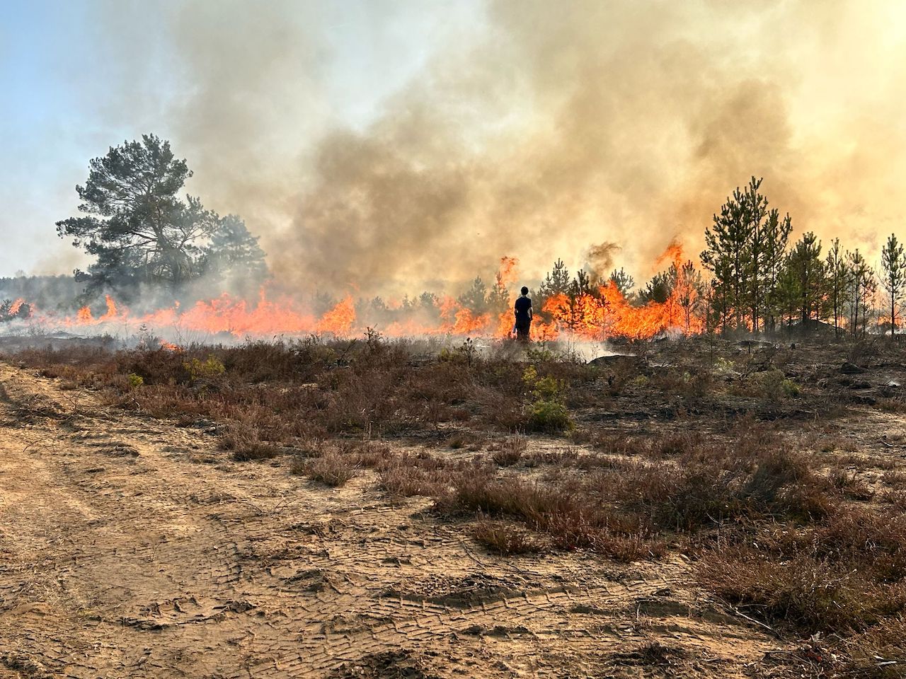 Heidebrennen – Unterstützung für den Naturschutz