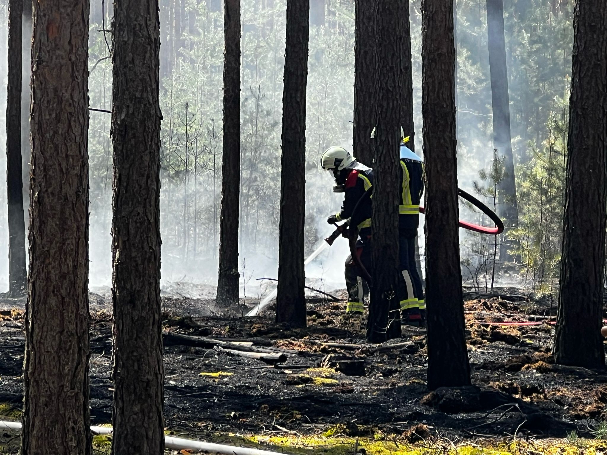 020 B:Wald Groß in Klein Bademeusel