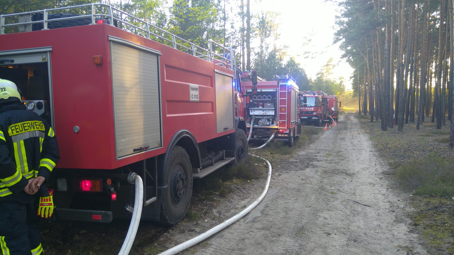 022 B:Wald in Preschen