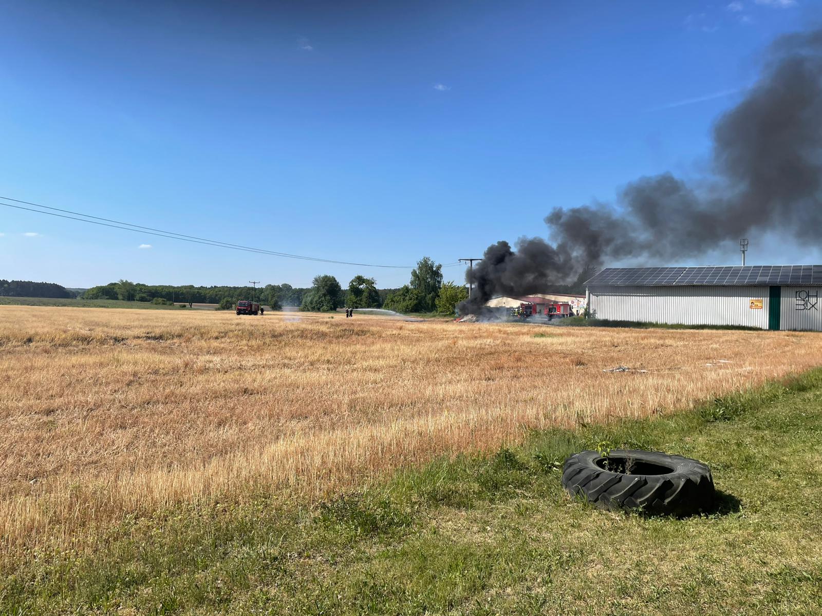 028 B:Wald-Groß/WSP in Klein Loitz