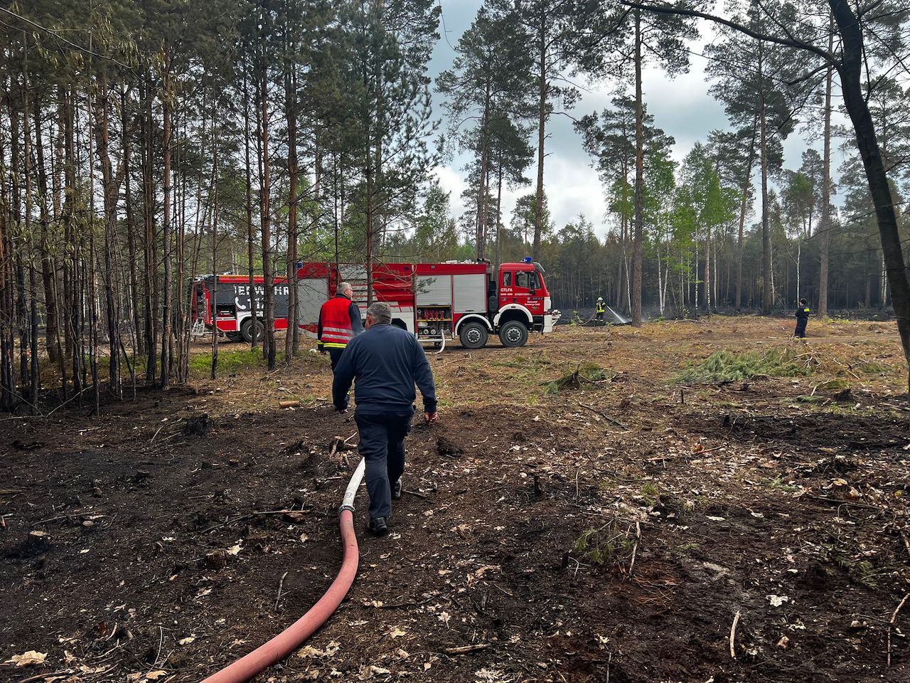 025 B:Wald-Groß/WSP in Preschen