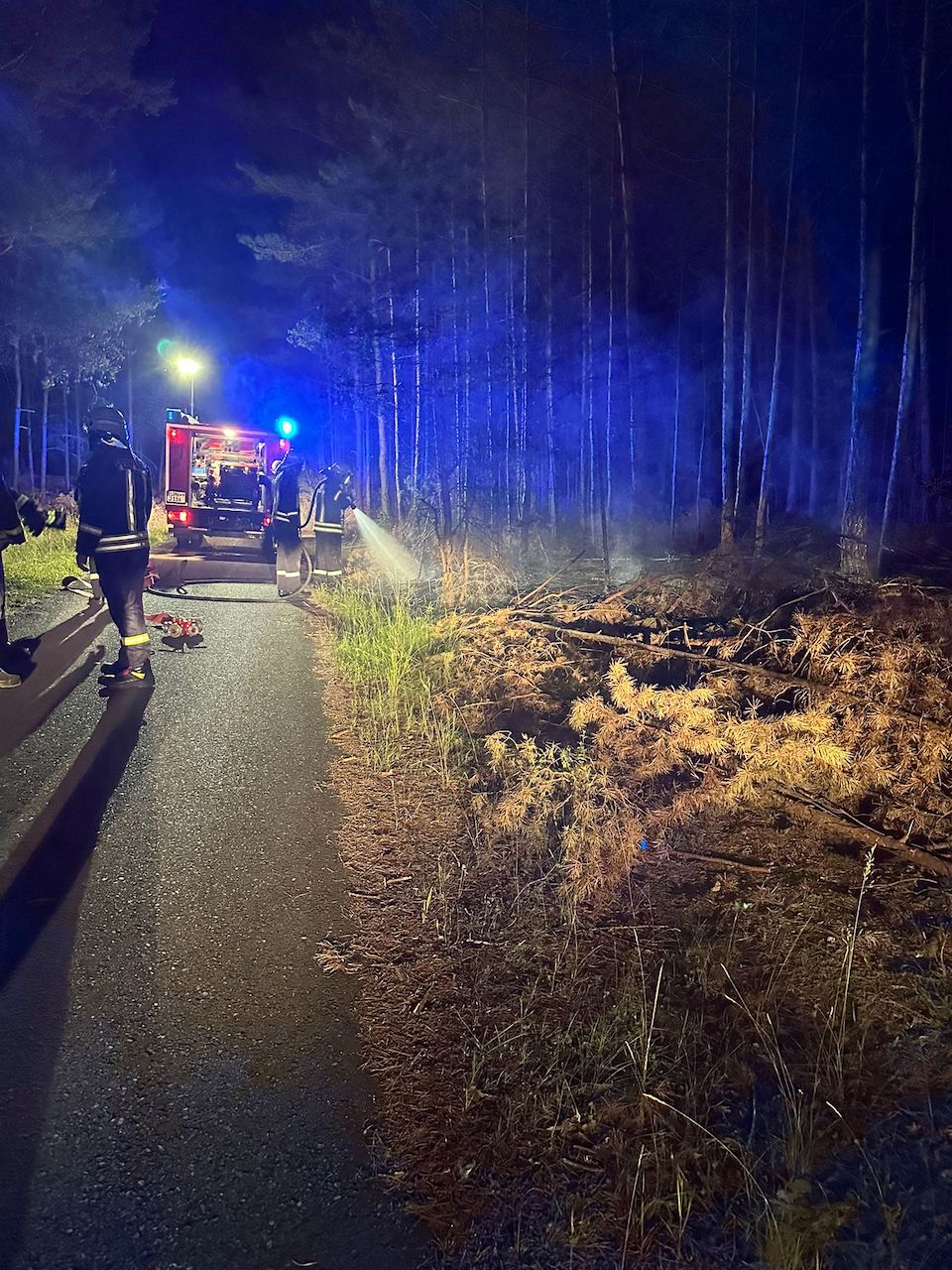 036 B:Wald-Groß/WSP in Jethe