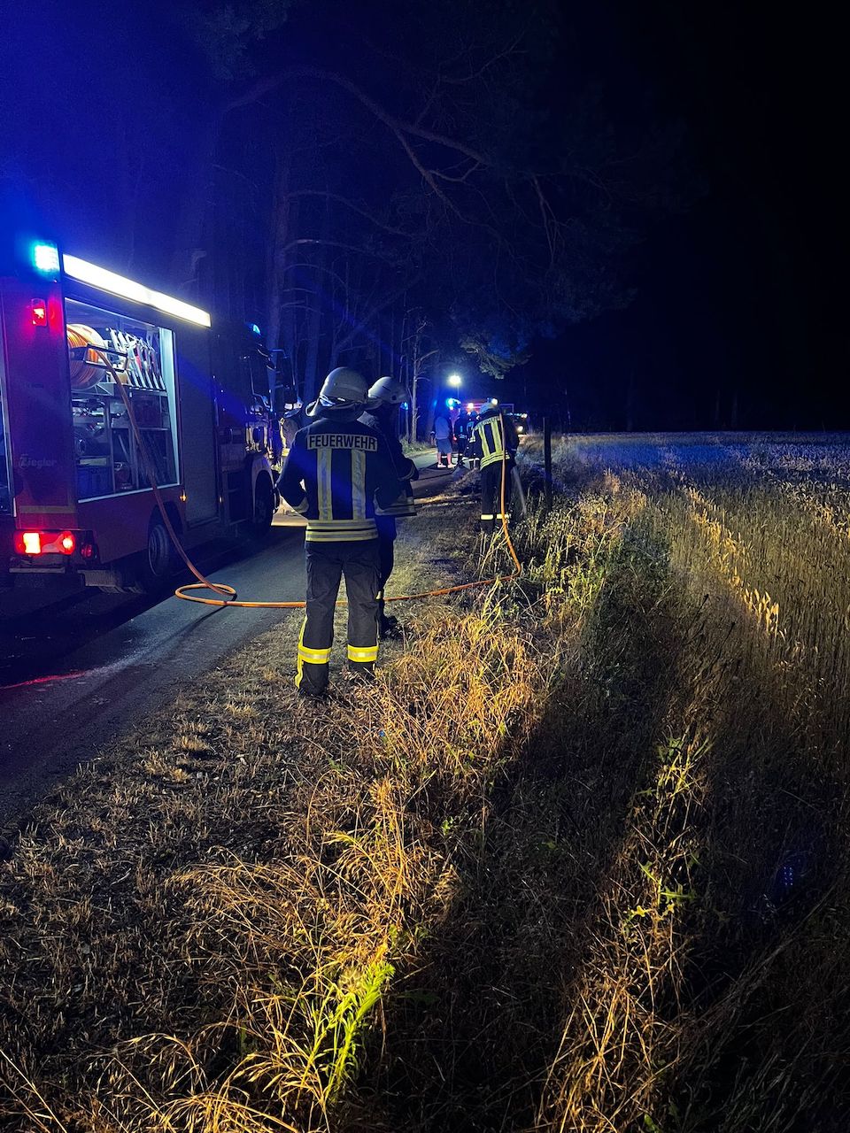 046 B:Wald groß/WSP in Mattendorf