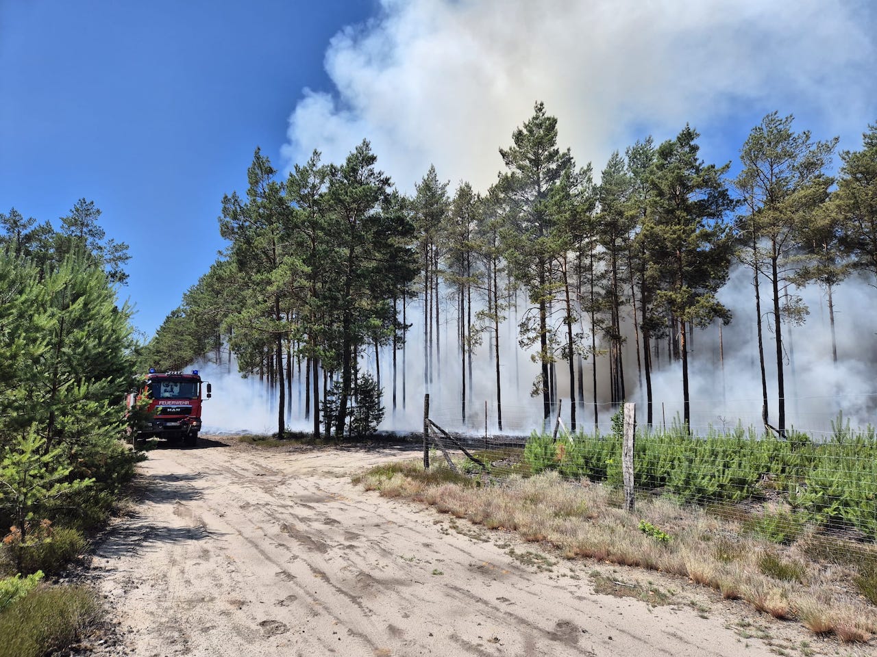 042 B:Wald-groß / WSP in Jerischke