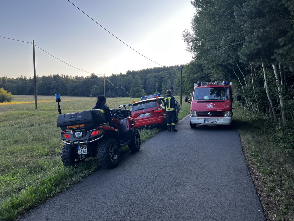 050 B:Wald in Jerischke