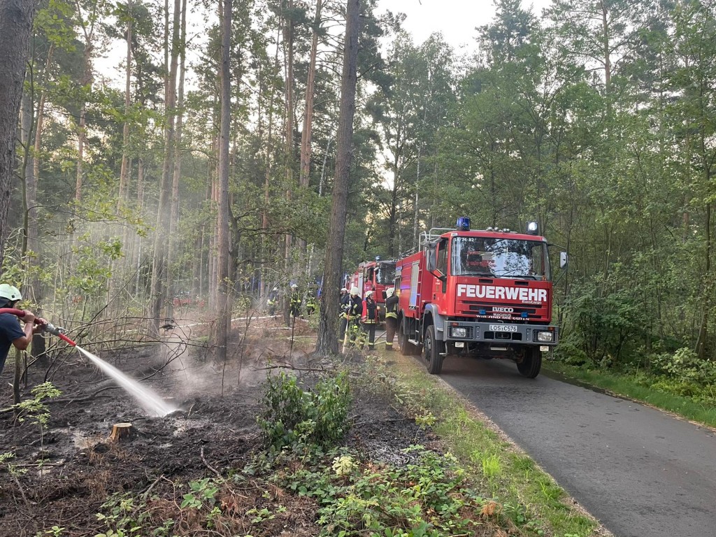 057 B:Wald-groß/WSP in Groß-Schacksdorf