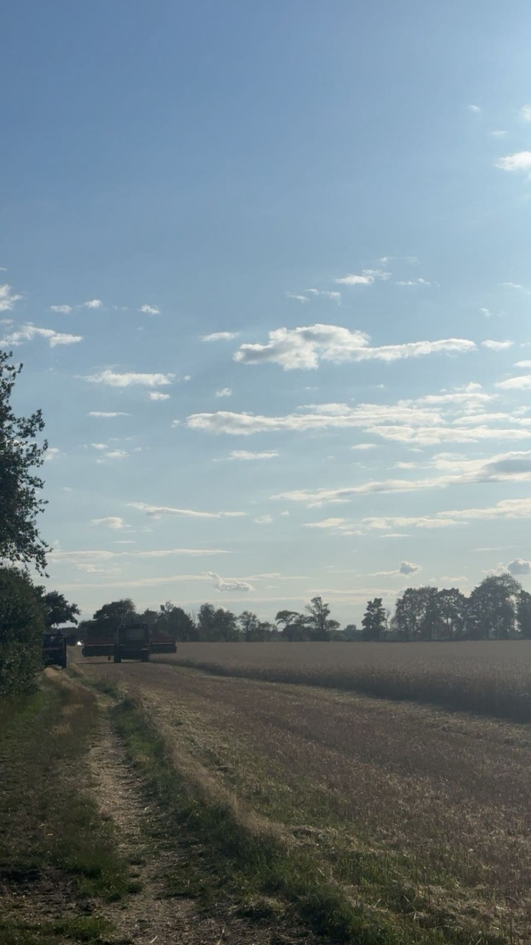 053: B:Wald-Groß/WSP in Preschen