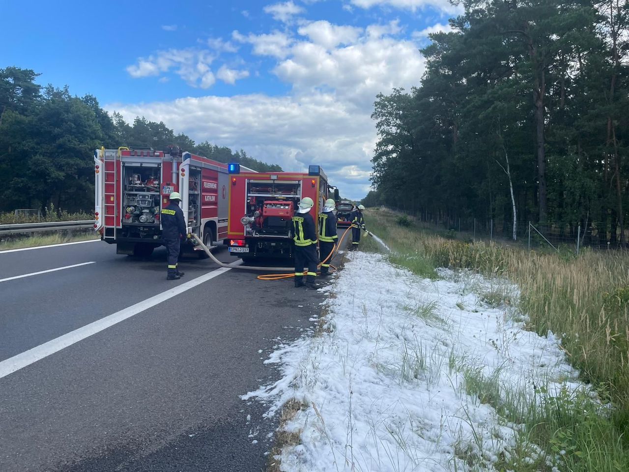 059 B:Wald groß/WSP BAB15